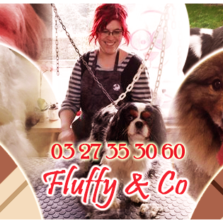 Fluffy and Co