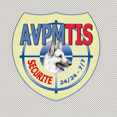 AVPMTIS
