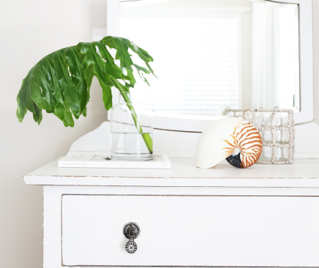 Donna Guyler Design
