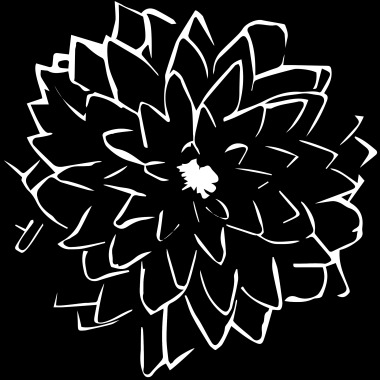 Fractal Foto