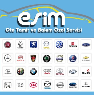 Esim Oto Tamir ve Bakım Özel Servisi