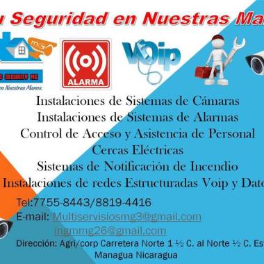 Security Electronic MG