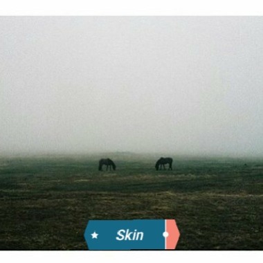 Estudios skin