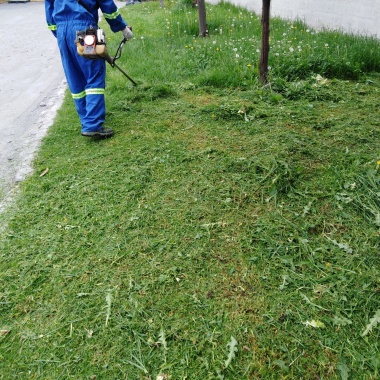 Serví jardineria