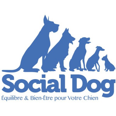 Social Dog