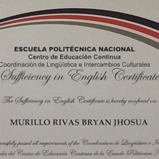 Profesor/Tutor Nativo de Ingles