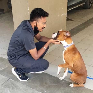 Viva K9 Training