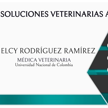 Soluciones veterinarias a domicilio