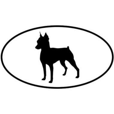 Educación canina Pitu-titu