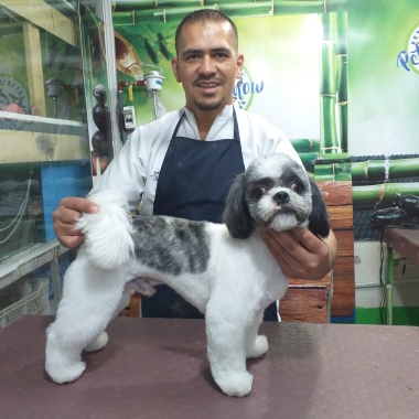 Clínica veterinaria Calderón, Quito pichincha