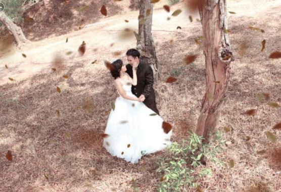  Son Art Photoworks