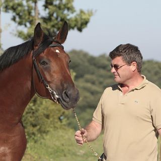 Clinica Veterinaria del Salernitano
