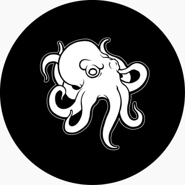 Octopus Estudio