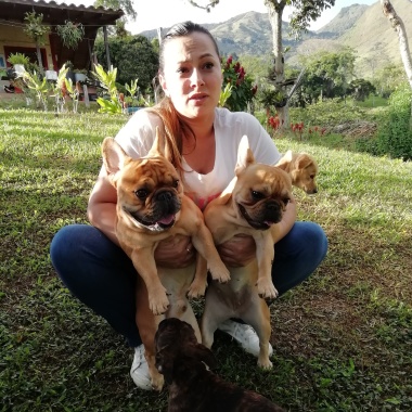 House dogs
