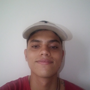 Paseador de perros