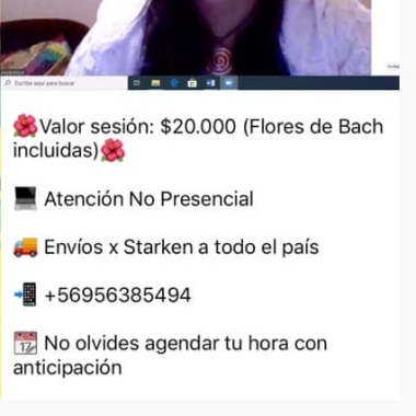 Espacio Flores de Bach Chiguayante
