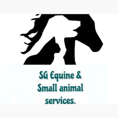 SG Equine & Pet services