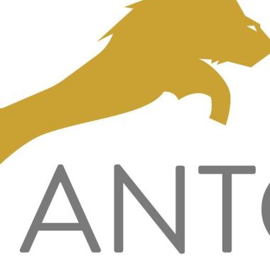 Antony Corporation