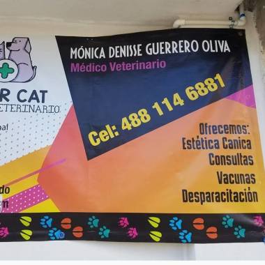 Monica Denisse Guerrero Oliva