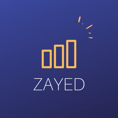 Zayed Marketing & Consultoria