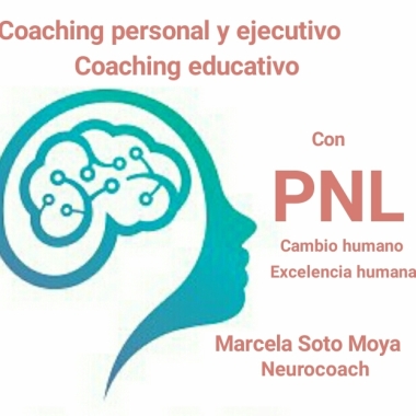 Tutorìas, mentoring y coaching