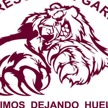 IMPRESOS CON GARRA