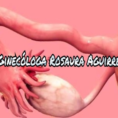 Ginecología y Obstetricia En Puebla/Ginecóloga Rosaura Aguirre