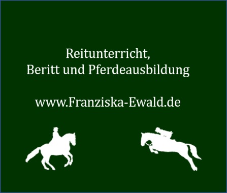 Mobiler Reitunterricht, Beritt & Pferdeausbildung