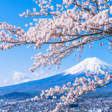 Aulas de Japonês