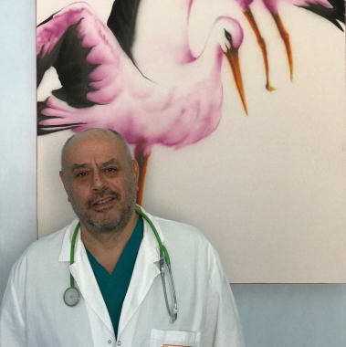 Pierucci