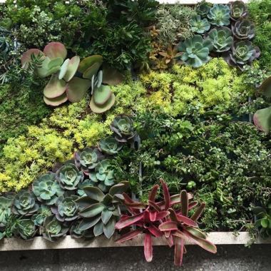 Natura Urban Landscape