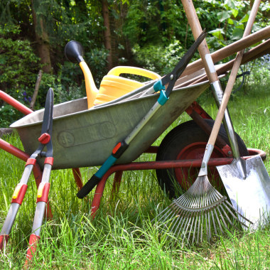 Jardineria Pinpilinpauxa
