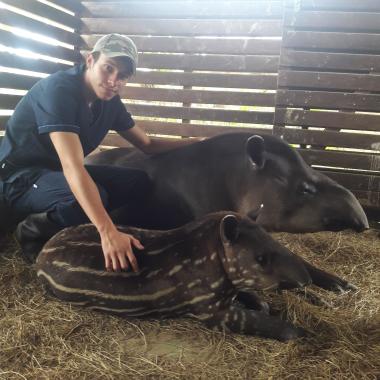 Servicios médicos veterinarios