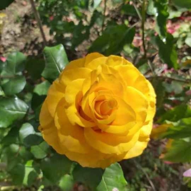 Vivero Y Pesca Cristina Complejo Deportivo