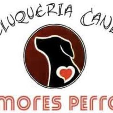 Amores Perros Peluqueria Canina Accesorios Vestimenta Envios