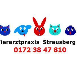 Tierarztpraxis Strausberg