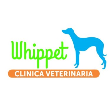 Clinica veterinaria whippet
