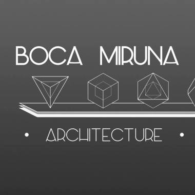 Boca Miruna Cristina BIA