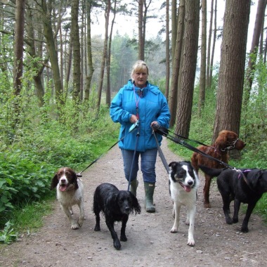 Muttleys Dog Walking