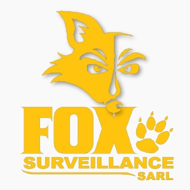 Fox Surveillance sàrl