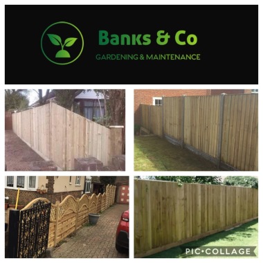 Banks & Co - EASTBOURNE’S GARDENING & FENCING