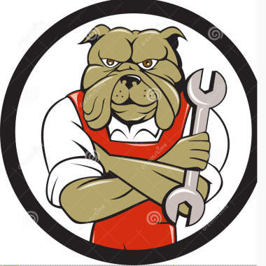 Hair of the dog auto repair