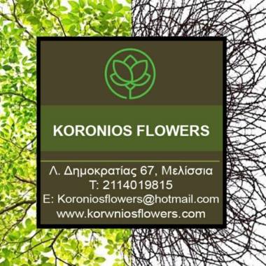 Koronios Flowers Αrt Decoration