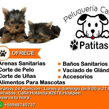Peluquería Canina y Felina