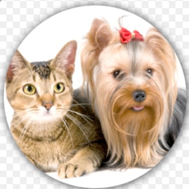 Groomer Rufo y Dory