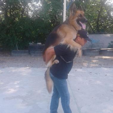 Escuela de adiestramiento canino ECAD