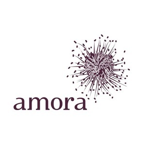 Amora Criação de Coisas