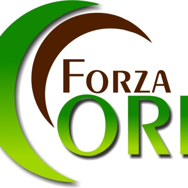ABOGADOS FORZA JURIDICA