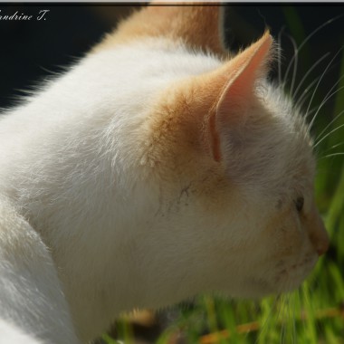 Photographie Sandrine T.