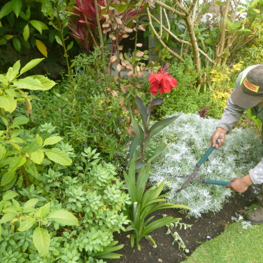 Gardens Design